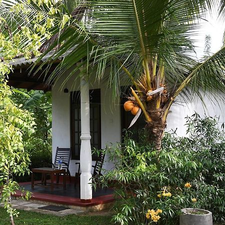 Bay Hill Guest House Tangalle Eksteriør billede