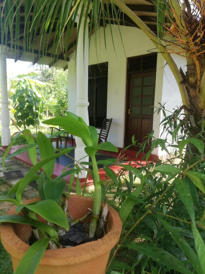 Bay Hill Guest House Tangalle Eksteriør billede