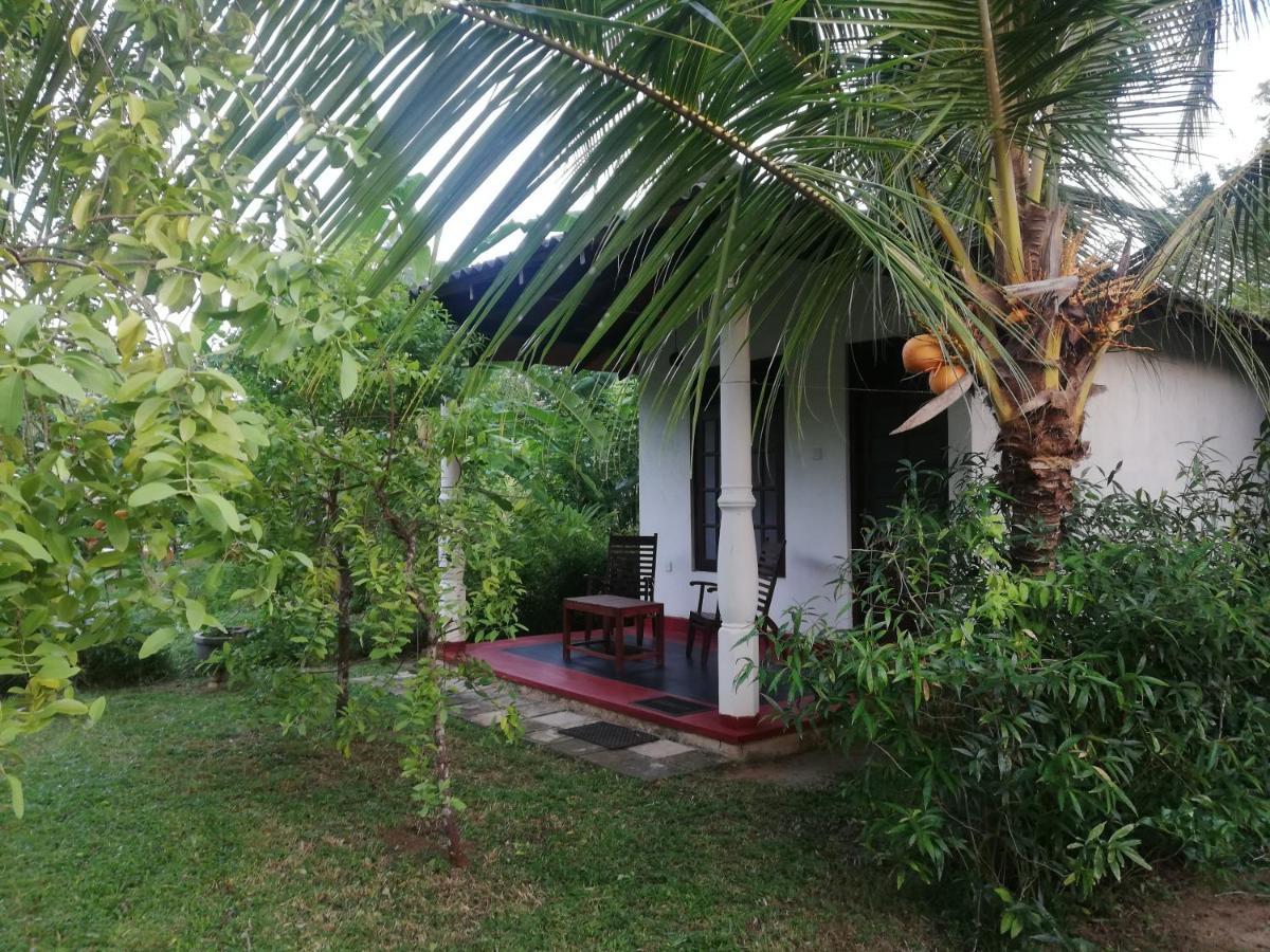 Bay Hill Guest House Tangalle Eksteriør billede