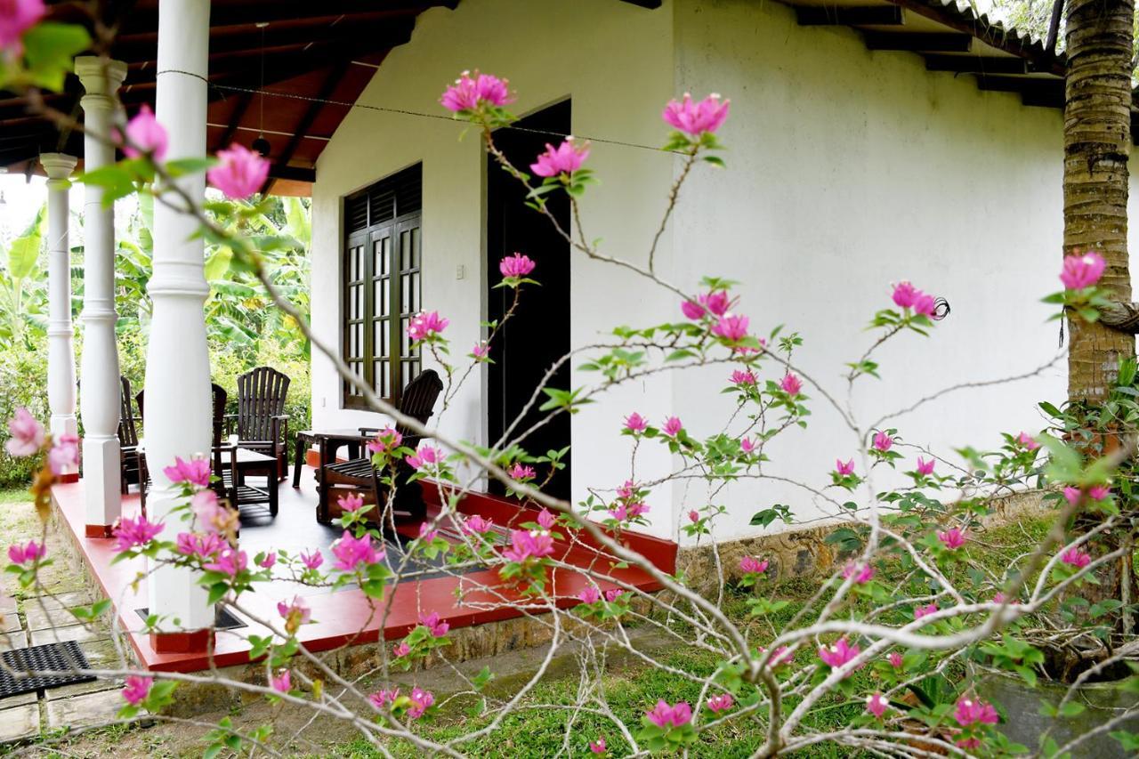 Bay Hill Guest House Tangalle Eksteriør billede