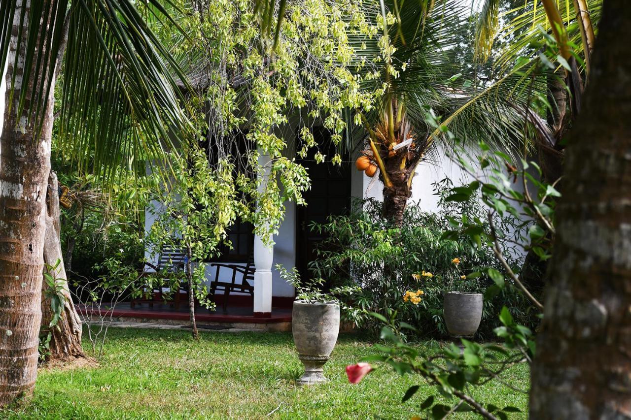 Bay Hill Guest House Tangalle Eksteriør billede