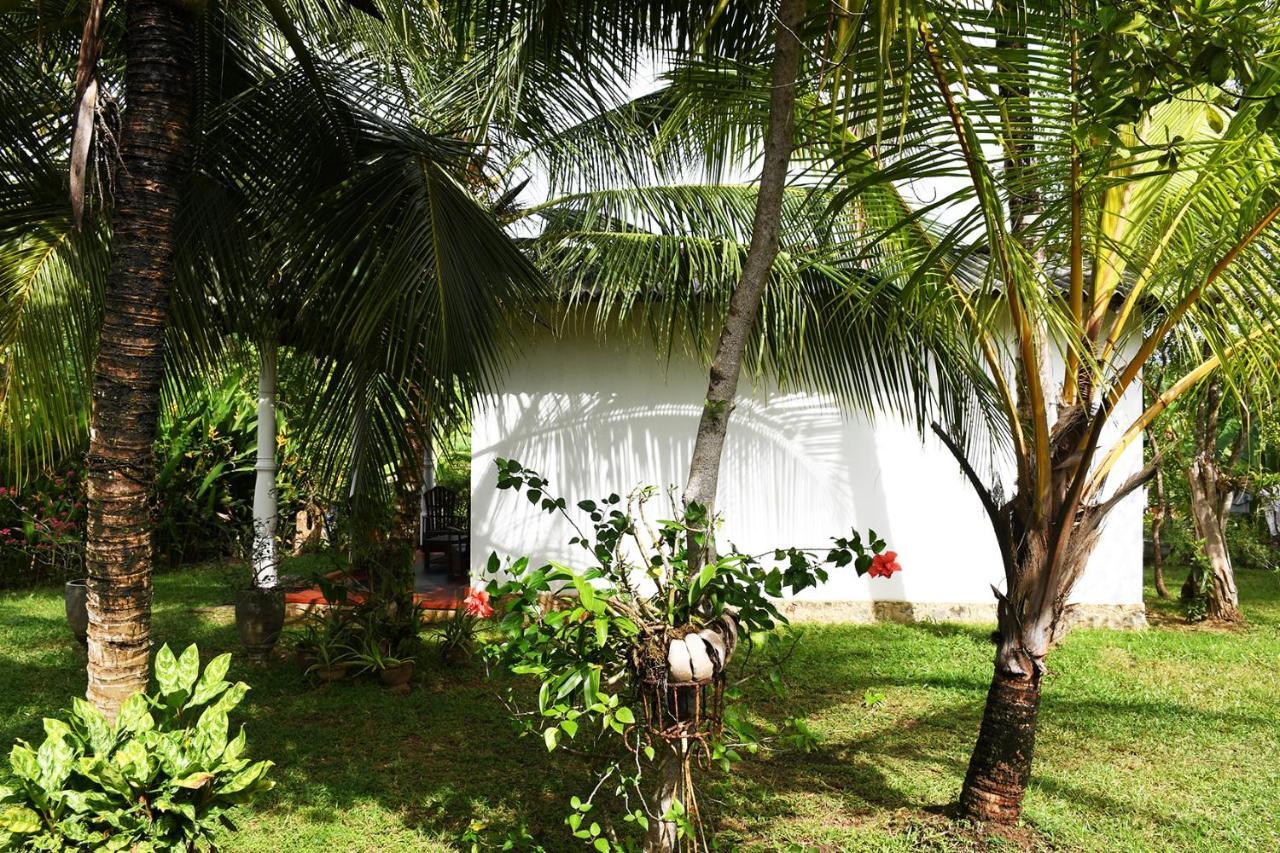 Bay Hill Guest House Tangalle Eksteriør billede